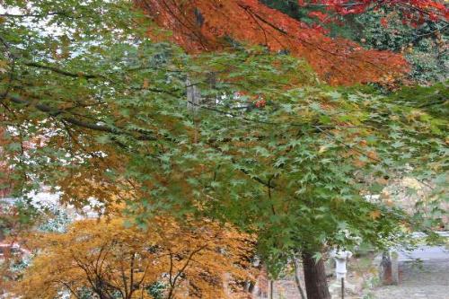 正法寺の紅葉の写真3