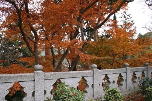 正法寺の紅葉の写真4