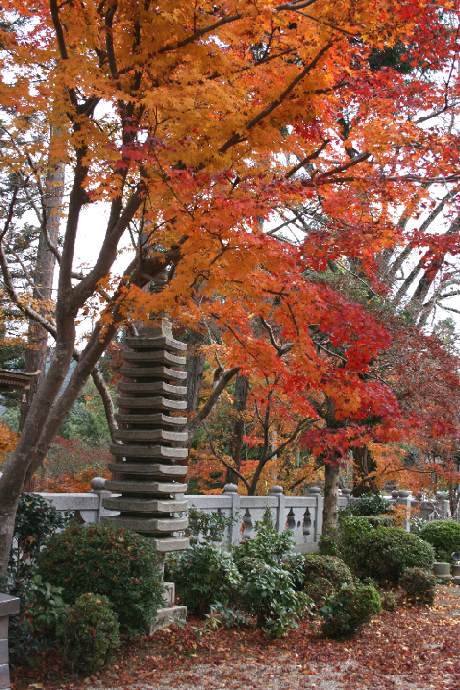 正法寺の紅葉の写真5