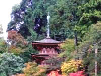 浄瑠璃寺の写真