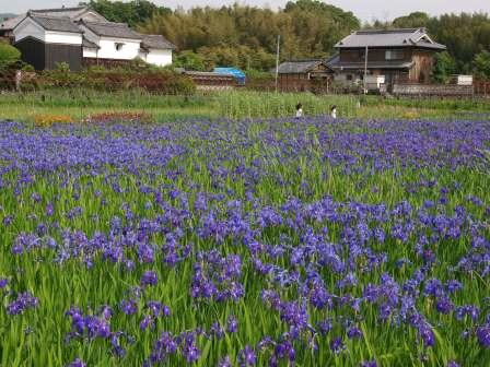 城陽市（じょうようし）