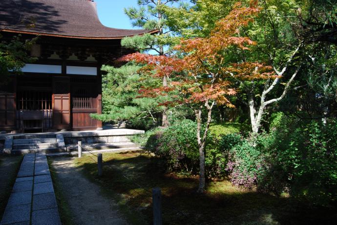 京田辺市（きょうたなべし）