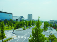 精華町（せいかちょう）