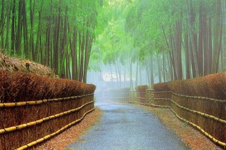 向日市（むこうし）