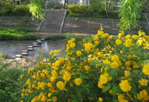 井手町（いでちょう）