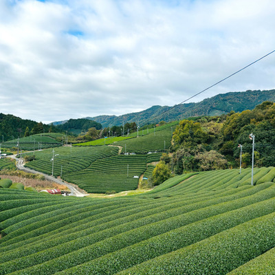 和束町活性化センター