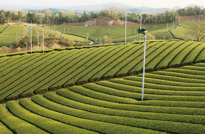 日本遺産をめぐる風景画像7