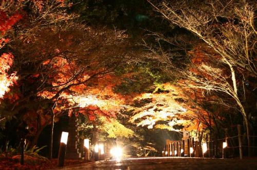 光明寺の紅葉夜の様子2