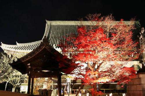 光明寺の紅葉夜の様子3