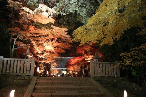 光明寺の紅葉夜の様子5