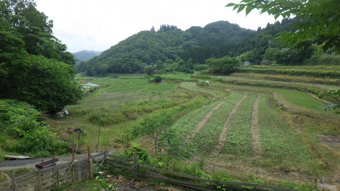 実証事例】基盤整備後の大区画ほ場の地力差を可変施肥で改善