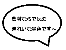 農村ならではのきれいな景色です