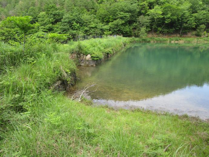 R3新規池ノ内奥池おもて