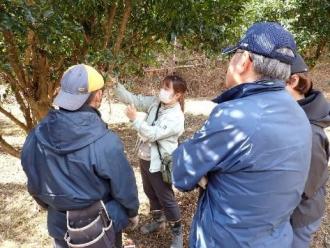 果樹担当者から花芽の説明