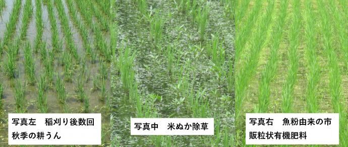 その他雑草対策