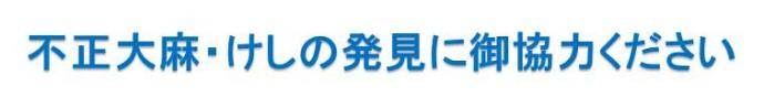 不正大麻・けしの発見に御協力ください