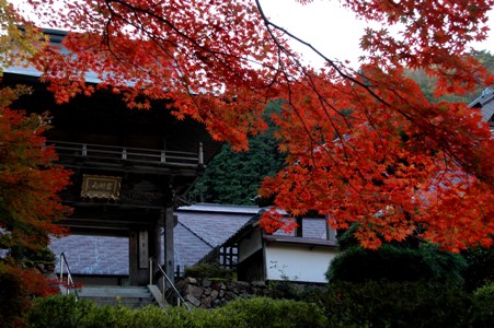 もみじの玉雲寺