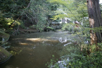 龍潭寺、池