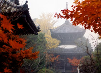 紅葉の穴太寺