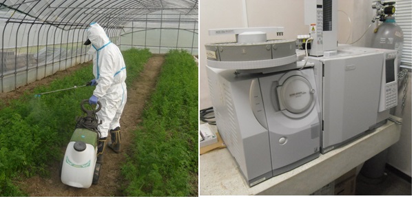 地域特産物への農薬散布の様子と、農薬の残留量を測定する機械
