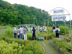 復旧農地で市民農園開設