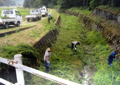 水路の草刈り作業