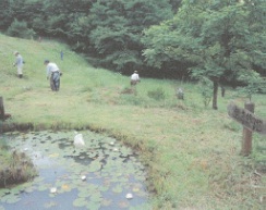 ため池周辺の草刈