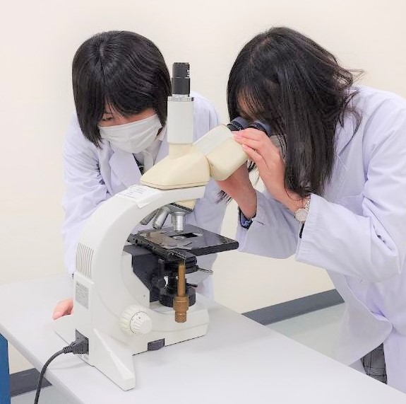 D「顕微鏡観察体験」