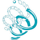 青緑マークのみ