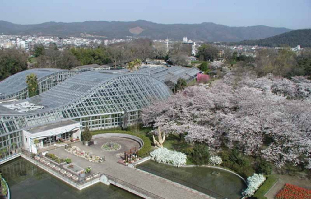 京都府立植物園の沿革／京都府ホームページ