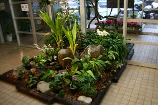 日本の野生ランと植物ディスプレイ1写真