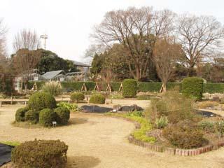 冬枯れの宿根草園の写真