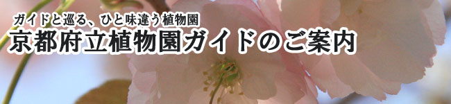 ガイドと巡る、ひと味違う植物園　京都府立植物園ガイドのご案内