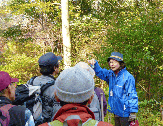 ガイド風景生態園