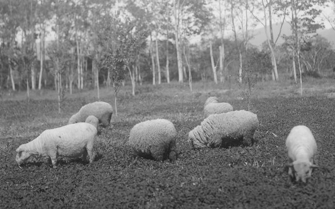 100年の歴史写真12-4