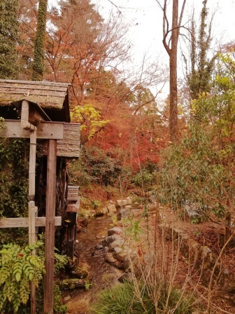 水車の小径の紅葉1211