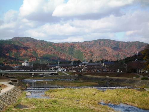 北山の紅葉の写真