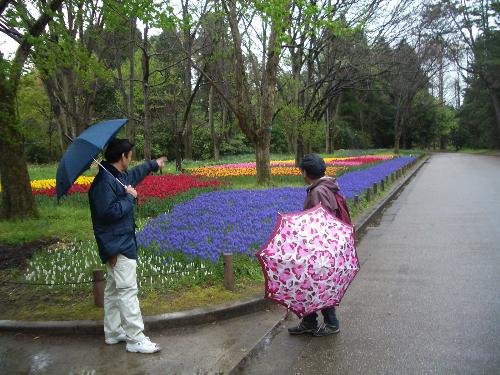 たそがれそぞろ歩きの写真