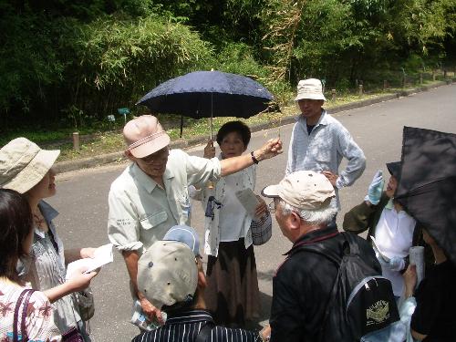 見ごろの花道案内の写真