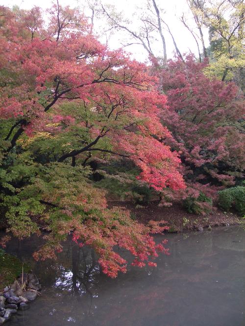 紅葉池の写真