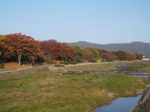 鴨川の紅葉の写真
