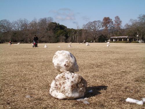 大芝生地の雪だるまの写真
