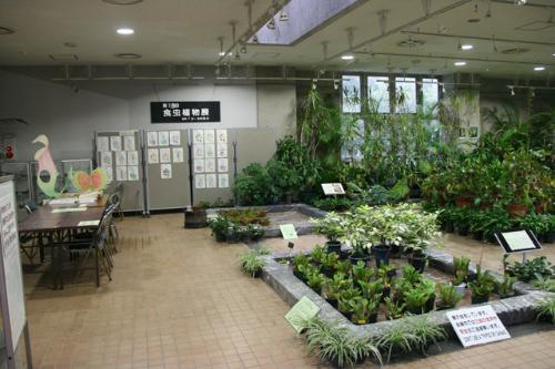 展示会風景