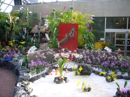 洋ラン展の写真3