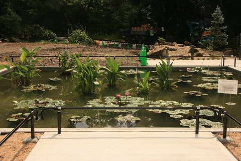 園内の池の写真