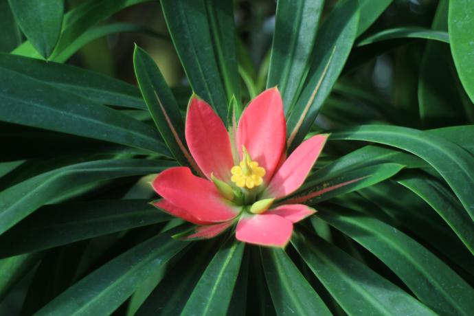 おすすめ情報 （令和7年12月26日）／京都府ホームページ