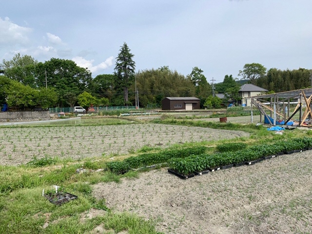 農場の様子