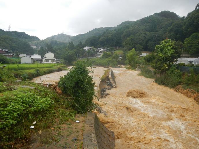 志津川