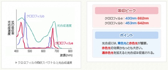 グラフ