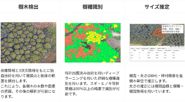 樹木検出・樹種識別・サイズ推定